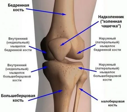 Болка в коляното лечение народни средства
