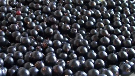 calorii Blackcurrant, proprietăți utile și rețete