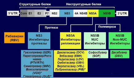 Mi újság a hepatitis C kezelésére az év 2017- 2018