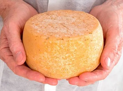 Ce ai nevoie pentru a face brânză la domiciliu