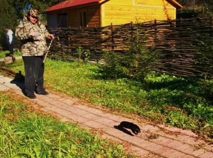 Какво щастливи или тъжни в моето езерце в норка уреден хищен звяр-норка