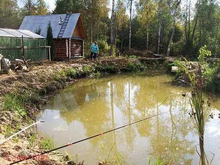 Какво щастливи или тъжни в моето езерце в норка уреден хищен звяр-норка