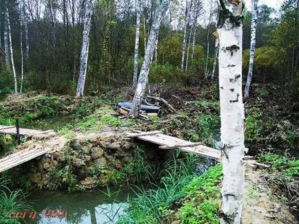 Какво щастливи или тъжни в моето езерце в норка уреден хищен звяр-норка