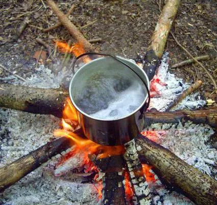 Ce să gătească în domeniul ureche, terci de cereale cu carne înăbușită