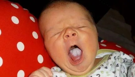 Ctomatit gyermek szájába fotó