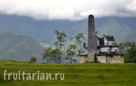 Ce să vezi în Sumatra