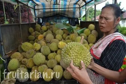 Ce să vezi în Sumatra