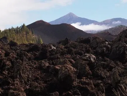 Amit látni Tenerife - önállóan és a gyermek