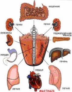 Diagnosticul de limbă, de-evoluție