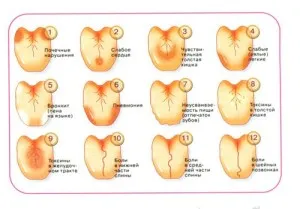 Diagnosticul de limbă, de-evoluție