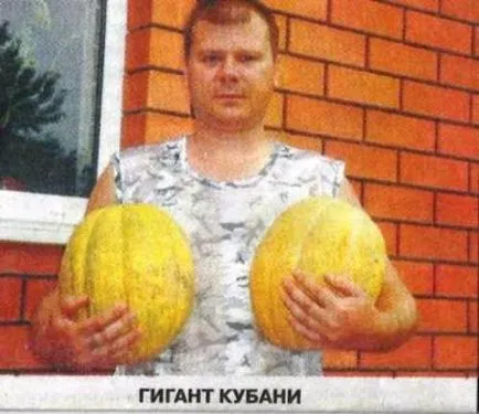 Melon се движи на север - Градина Сибир