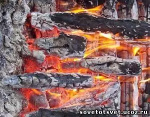 cenușă de lemn ca îngrășământ, compoziția, utilizarea (cenușă) - bun sovety- gradina de legume, gradina, casa - mea