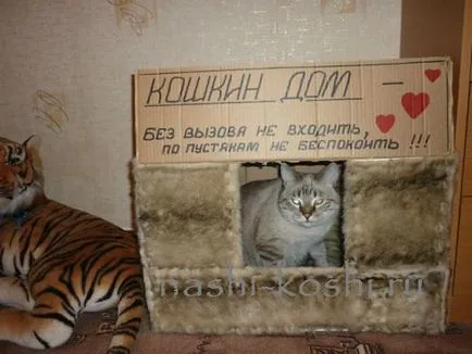 Kis ház egy macska a saját kezével - egy fotó és videó, minden a macskák