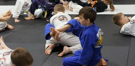 Judo si Jiu-Jitsu brazilian