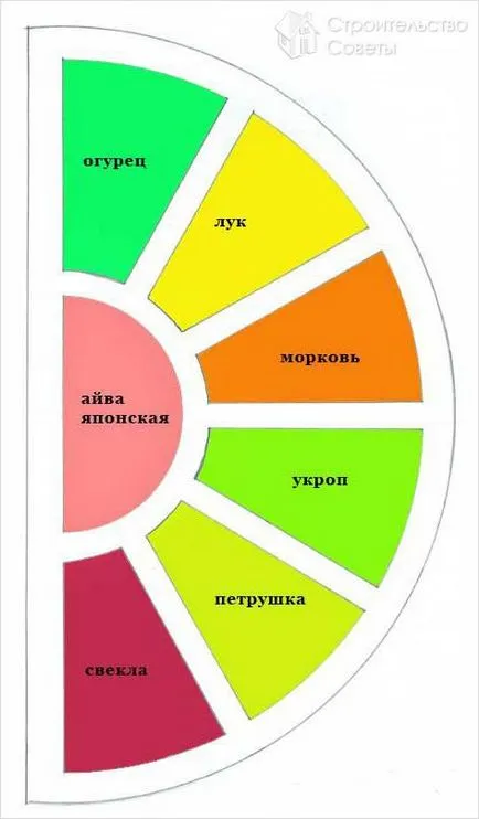 paturi franceze maniere românești - cum să atragă