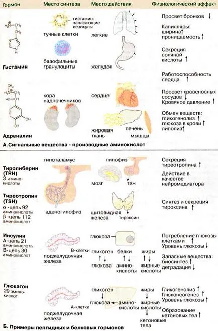 хидрофилни хормони