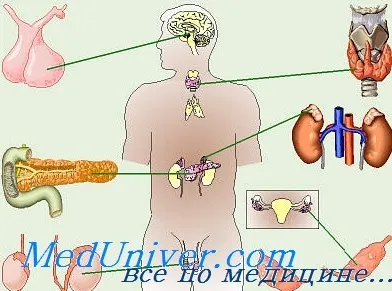 Istoria dezvoltării de endocrinologie și problemele sale