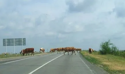 Hogyan lehet eljutni Abházia