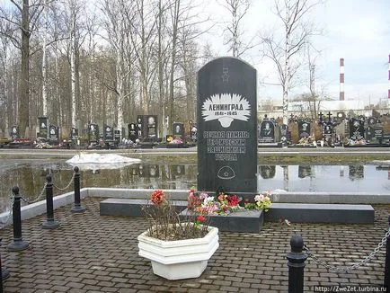 Cum se ajunge la cimitir Serafim din București