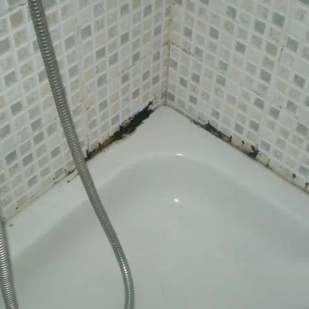 Hogyan lehet megszabadulni a penész a zuhany