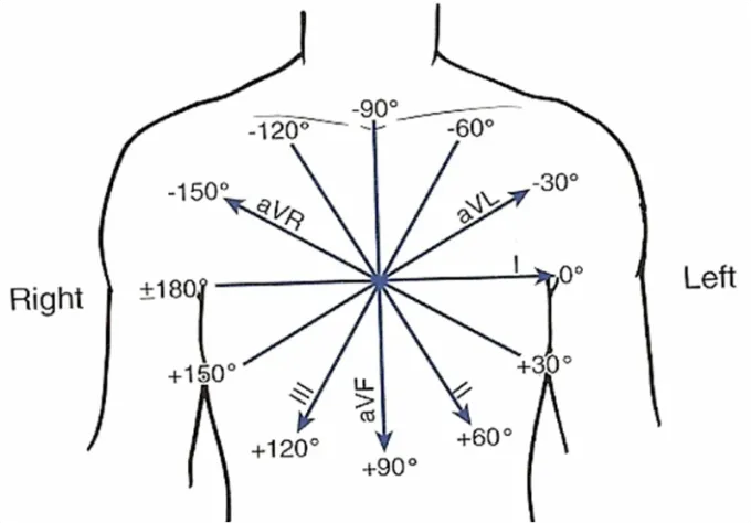 Hogyan kell olvasni a ekg, mindent magam