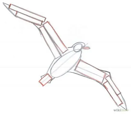 Cum de a desena un creion sau vopsea etape de albatros