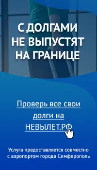 Как да видите, учат и да се провери дългове и глоби преди пътуване в чужбина през 2017 г.