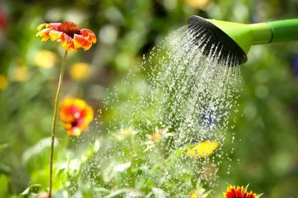 Cum să ude grădina
