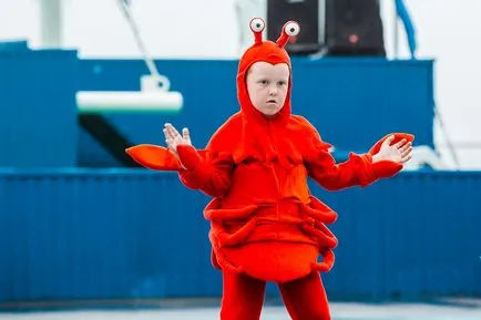 Cum sa faci un costum de crab cu propriile lor mâini