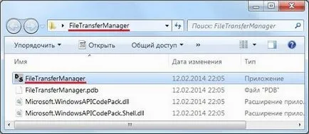 Как да копирате файлове от няколко папки в отделна папка - transfermanager на програмата файл