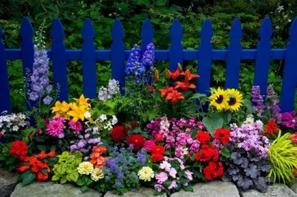 Hogyan válasszunk évelő virágok a kertben