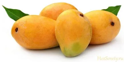 Cum se păstrează mango la domiciliu