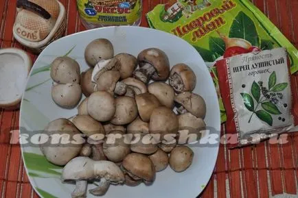 Cum la marinat ciuperci sinenozhki pentru reteta de iarnă