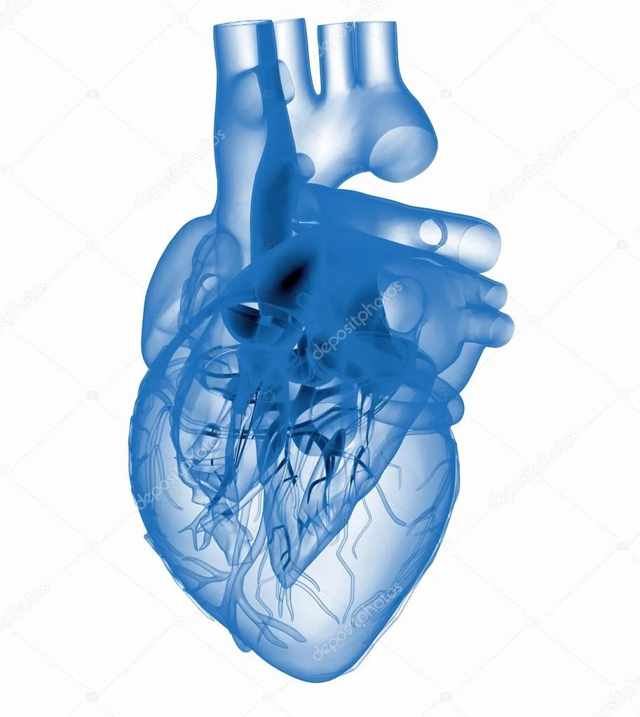 Cum fotoreale inima umană
