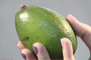 Как да изберем и съхранявайте авокадо у дома