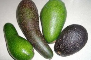 Как да изберем и съхранявайте авокадо у дома