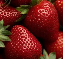 Strawberry полк описание на сорта и отглеждане