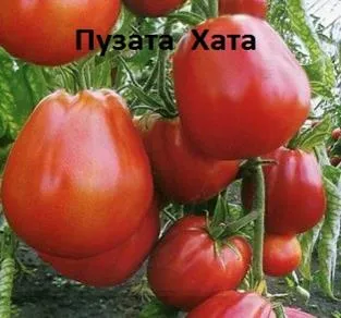 Каталог на семена от л