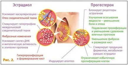 Климактеричен синдром - vasovegetative прояви на менопаузата при жените