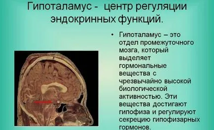 Климактеричен синдром - vasovegetative прояви на менопаузата при жените