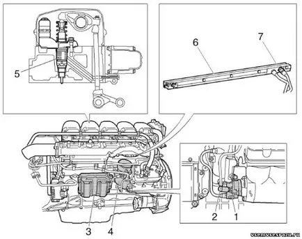 manual de director