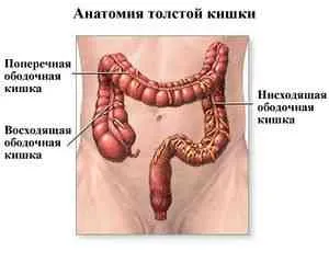 Tratamentul Colita de alimente - intestinului -dacă boala () - ENDIF - Articole Directory - Proctologie - Simptome si