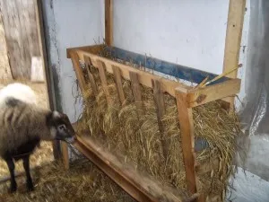 Хранилки за кози със собствените си ръце на изискванията, производство
