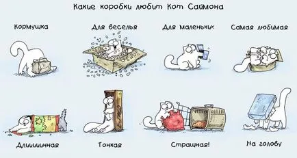Cat Pictures Саймън