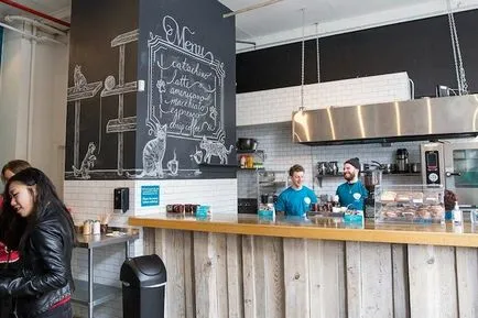 cafenea Cat pentru iubitorii de pisici, toate pisoi preferate si pisicile ^ _ ^