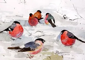 Krasnogruda frumos, sau în cazul în care bullfinches de iarnă