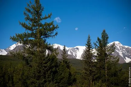 Kurai степни, Aktru, Алтай 2014, дневни бележки