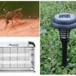 lămpi Mosquito pentru străzi și case - o revizuire și feedback