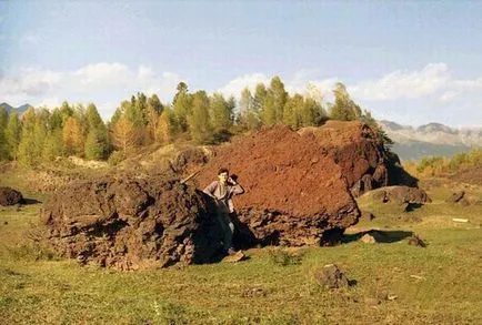 Озеленяване, вулканичен туф, естествени материали, декорации за аквариуми