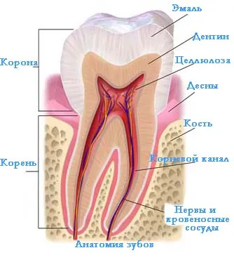 Cele mai bune moduri de a albirea dintilor acasa